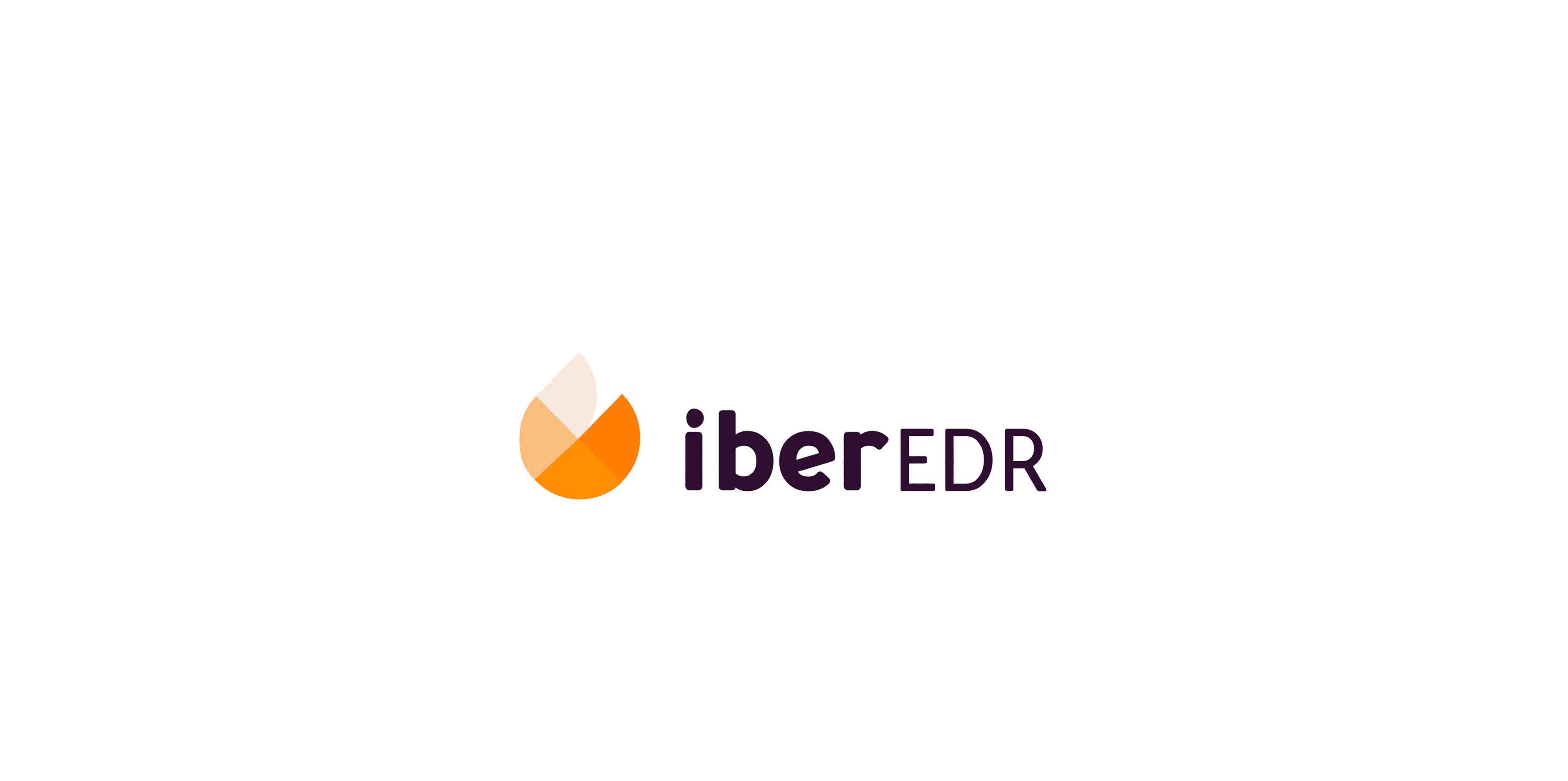 IberSecurity brand identity design with logo colors and visual system