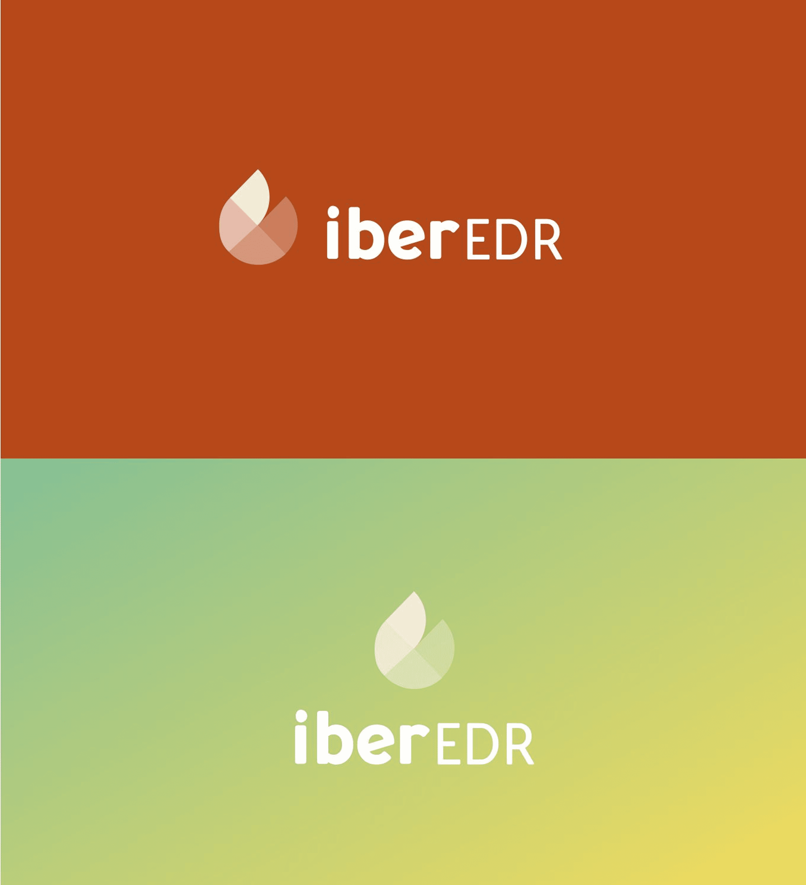 IberSecurity brand identity design with logo colors and visual system